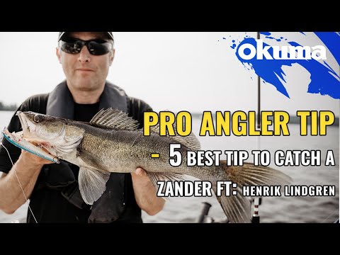 Pro Angler Tip - 5 best tip to catch a Zander Ft: Henrik Lindgren