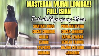 Download lagu MASTERAN MURAI BATU LOMBA FULL ISIAN MEWAH SEPANJANG MASA 100% BIKIN MURAI JUARA mp3