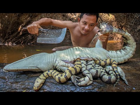 Amazing Crocodile! Big Snakes in Crocodile Stomach | Cooking Snakes Soup Eating Delicious