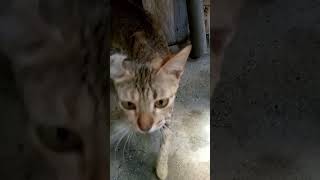 Download lagu May 26, 2025 mp3