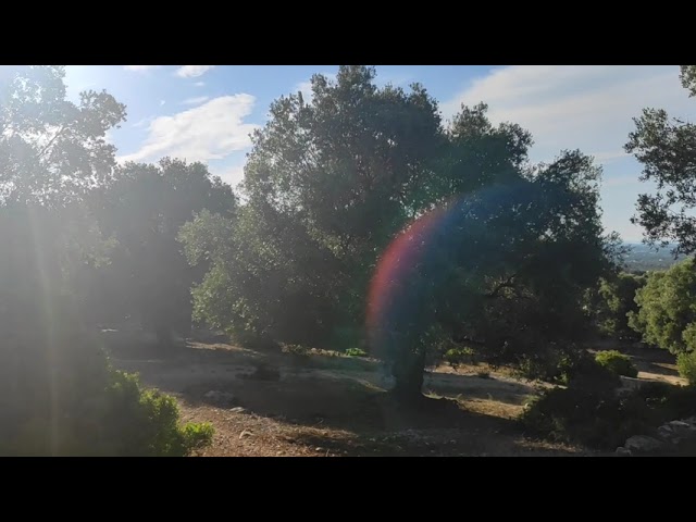 Terreno Signori Ulivi