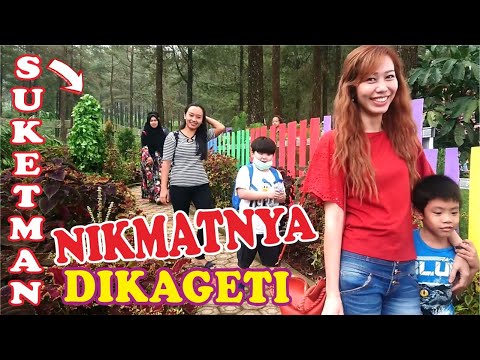 time-lapse-bushman-prank-prank-manusia-pohon