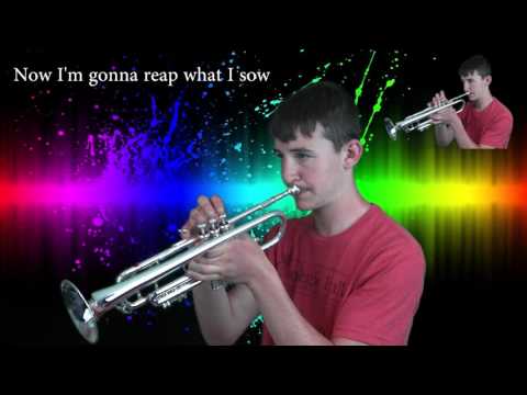 Shawn Mendes - Stitches (Trumpet Cover)