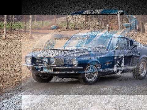 THE RIP CHORDS "Hey LIttle Cobra" 1964  HQ