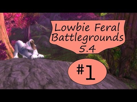 Lowbie Feral Druid Battleground 5.4 - Warsong Gulch - N00BFeral 1