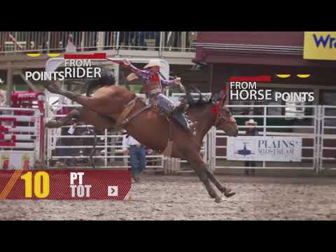 Calgary Stampede Rodeo 101: Saddle Bronc