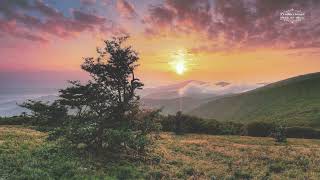 Donde Andaras  José José