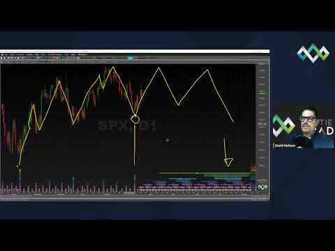 The Next 20 Weeks - Hurst Cycles Market Update - 27 March 2023
