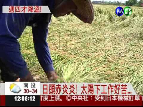 溫度屢創新高 台北37.6度熱死啦