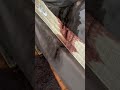 Undiscovered Death For 3 WEEKS Cleanup Spauldingdecon Crimescenecleaning Crimescenecleanup