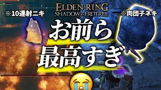 序盤の初心者を苦しめるクソ敵2選【エルデンリングDLC/ELDENRING SHADOW OF ERDTREE】