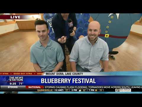 download lagu mp3 mp4 Mt Dora Blueberry Festival 2017, download lagu Mt Dora Blueberry Festival 2017 gratis, unduh video klip Mt Dora Blueberry Festival 2017
