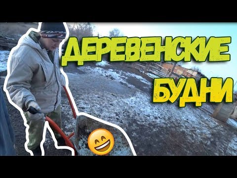 Деревенские будни // Пополняем запасы, МЯСО // Гуси на воле // Дети у бабушки