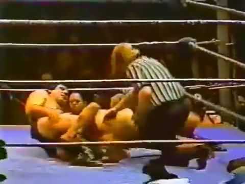 1981/03/16 - WWF @ Madison Square Garden  (March 16, 1981)