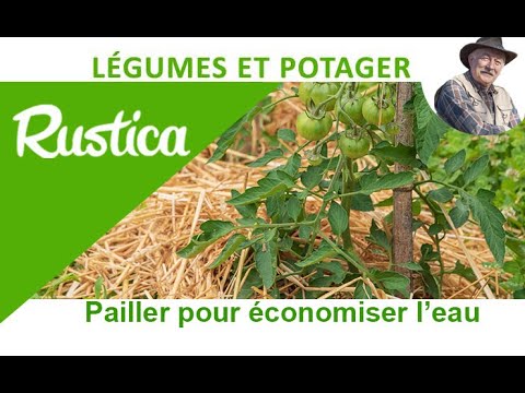 comment economiser nourriture