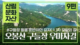 [#산림문화자산] ⑨편 지혜가 돋보이는 '보성 오봉산 구들장 우마차길'