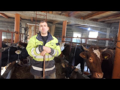 SELJAK GOSPODIN: Moderna farma kod Novog Travnika koja ruši sve predrasude”Farma ČORBEG.