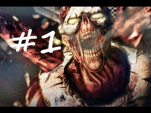 afterfall insanity pc gameplay