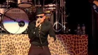 Heitere Open Air 2014,Jan Delay: Wacken