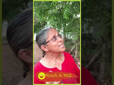 Can we Eat Neem Leaves Daily? Benefits of Eating Neem Leaves Daily