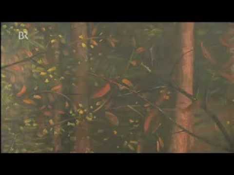 Szilard Huszank, BR, Frankenschau - Kunstpreis der Nürnberger Nachrichten - 29.07.2012