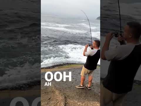 Briga com pampo na artificial 10 lbs na Praia vermelha - Urca - RJ