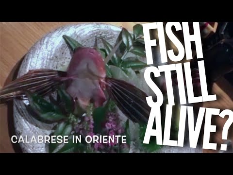 Come striscia in carne di occhiata di pollo Dopo che vermi di glistogonka non partono
