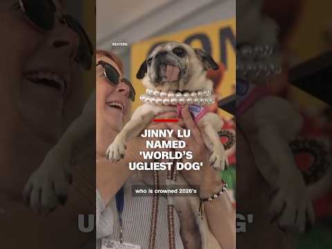 Jinny Lu named 'World's Ugliest Dog'