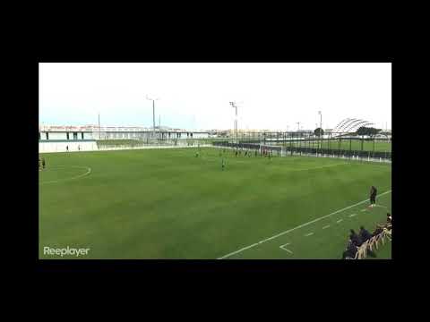 Miniatură video