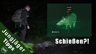 Jagdliche Situationen auf Sauen in der Nacht | Jungjägertipps
