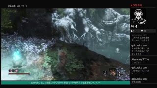 【SEKIRO/隻狼】12.落ち谷　奥廊下