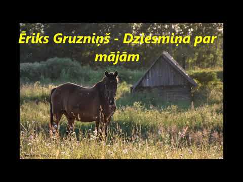 Ēriks Gruzniņš - Dziesmiņa par mājām