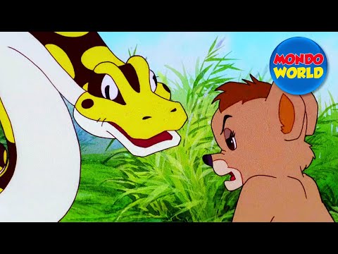 ROI LION SIMBA ép. 4 - L'UNION FAIT LA FORCE | SIMBA dessin animé complet en francais