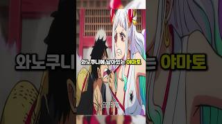 원피스에 남아있는 레전드 떡밥