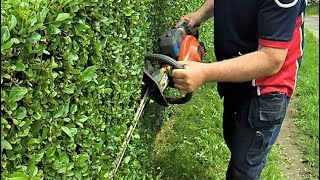 Husqvarna 122HD60 Hedge Trimmer,  Review / In Action
