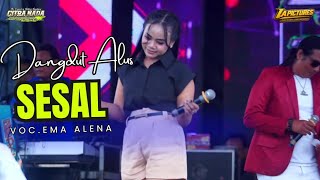 Download lagu SESAL // CITRA NADA LIVE LAPANGAN DESA KEBOLEDAN // KEC.WANASARI - KAB.BREBES mp3