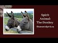 Animal Spirit Guide The Donkey Shamanic Power Animal Donkey Symbolism