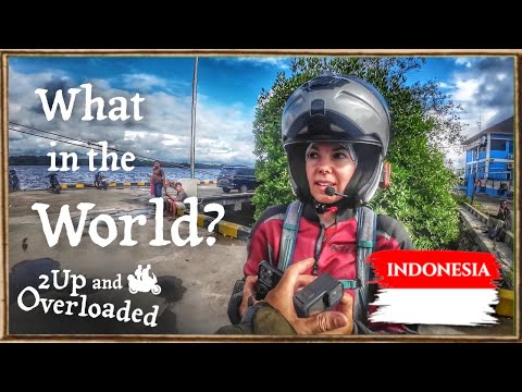 $7,000 per kilo for WHAT??? Unraveling Indonesia’s Astonishing Secret [SE E21]