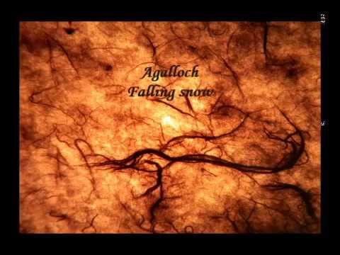 Falling Snow - Agalloch - Vein Songs