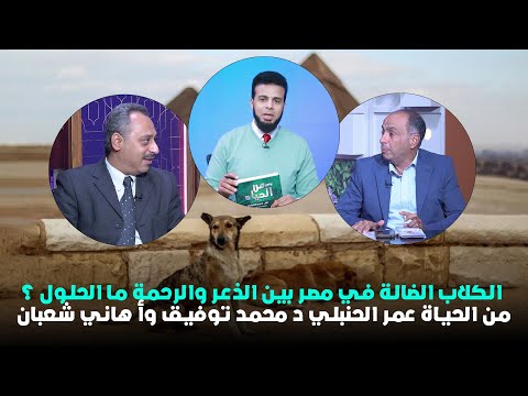 الكلاب الضالة في مصر بين الذعر والرحمة ما الحلول ؟ من الحياة عمر الحنبلي د محمد توفيق وأ هاني شعبان