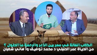 الكلاب الضالة في مصر بين الذعر والرحمة ما الحلول ؟ من الحياة عمر الحنبلي د محمد توفيق وأ هاني شعبان