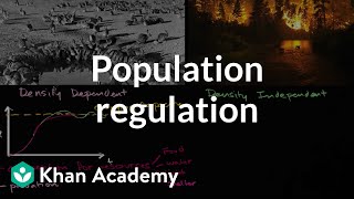 Population regulation | Ecology | Khan Academy