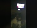 Karaoke Bebas Pegang Parah