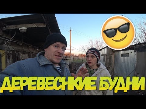 Наши деревенские будни / Рассказываем про нашу птицу в зимнее время / Жизнь в деревне - наше лпх