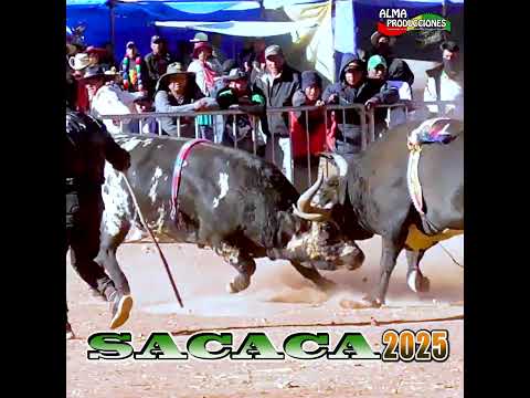 La fiesta de San Isidro SACACA 2026 T4, "Chuwi Jr-Sicario". #almaproduccionesbolivia  #shortsviral
