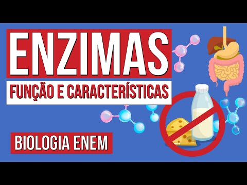 ENZIMAS: função e características | Resumo de Biologia para o Enem | Cláudia de Souza Aguiar