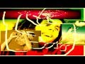 Bob Marley feat. 2Pac - Three Little Birds (Way of ...