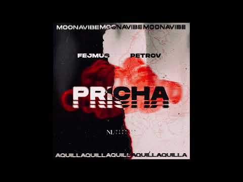 PETROV X FEJMUS - PRICHA