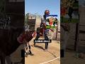 Meldi Maa Ki Bali Bakra Bakri Bali Bakrekibali Viral Reels Instagram Meldimaa Meldi