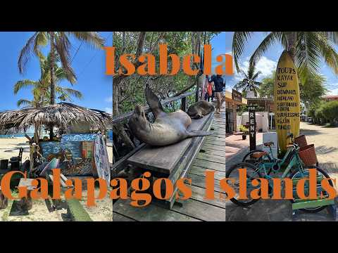 3 days DIY in Isabela, Galapagos Islands